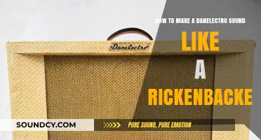Transform Your Danelectro: Achieve That Iconic Rickenbacker Tone and Feel