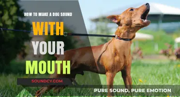 Mastering Dog Sounds: Easy Mouth Techniques to Imitate Barks and Whines