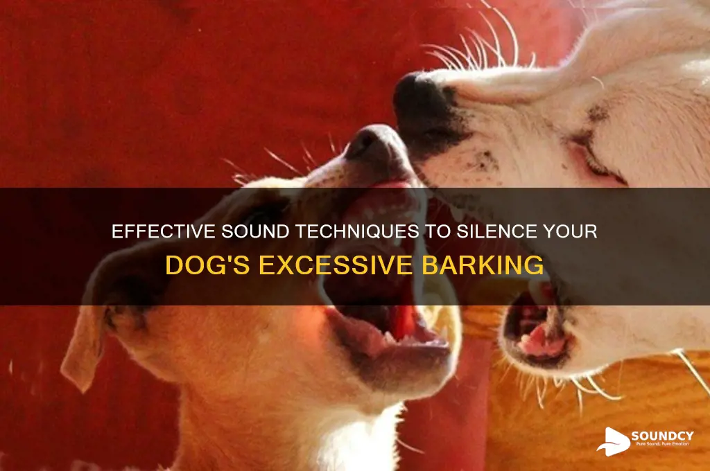 how to make a dog stop barking with sound