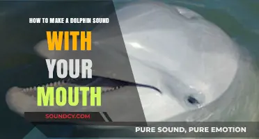 Master the Art of Mimicking Dolphin Sounds with Your Mouth