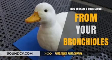 Master the Art of Quacking: Bronchiole Techniques for Duck Sounds