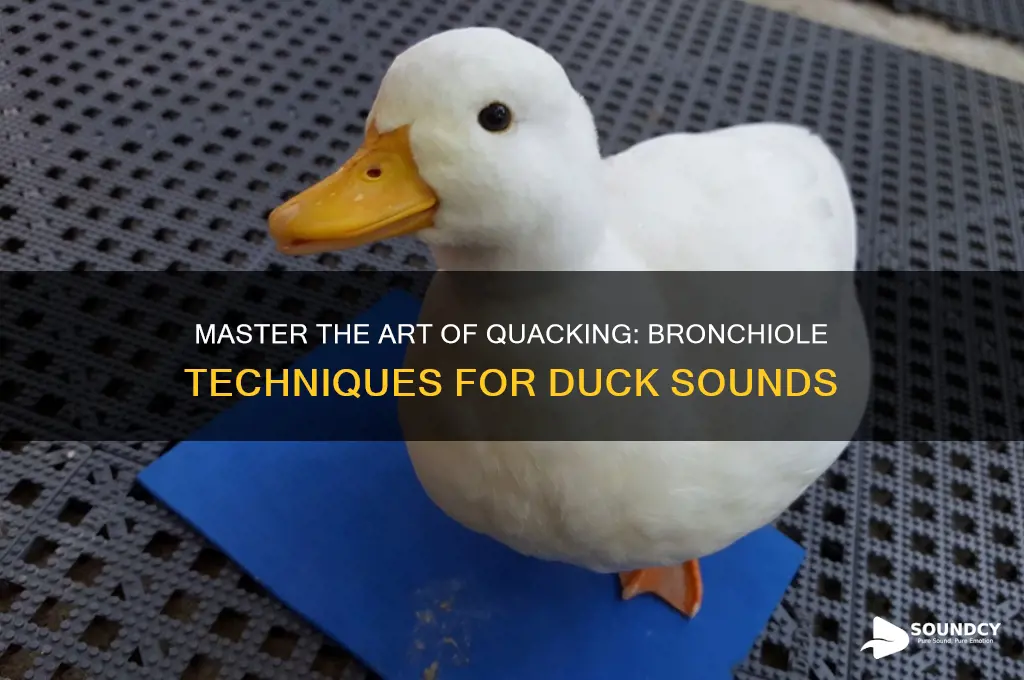how to make a duck sound from your bronchioles
