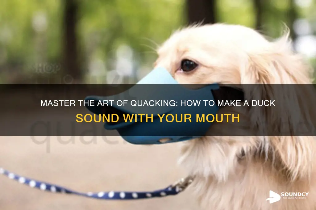 how to make a duck sound with your mouth
