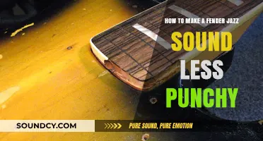 Taming the Jazz Bass: Techniques to Soften Your Fender's Punch