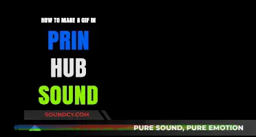 Mastering GIF Creation with Sound: A Step-by-Step Prin Hub Guide