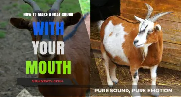 Master the Art of Mimicking Goat Sounds with Your Mouth
