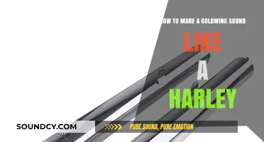 Transform Your Goldwing's Exhaust Note to Mimic Harley's Iconic Rumble
