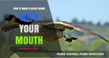 Master the Art of Mimicking a Goose's Honk with These Simple Techniques