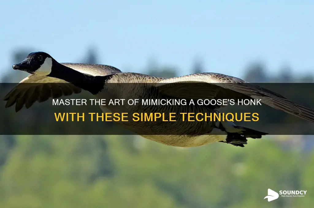 how to make a goose sound with your mouth