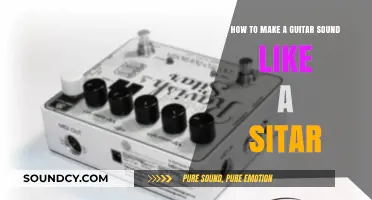 Transform Your Guitar: Techniques to Emulate the Sitar's Unique Sound