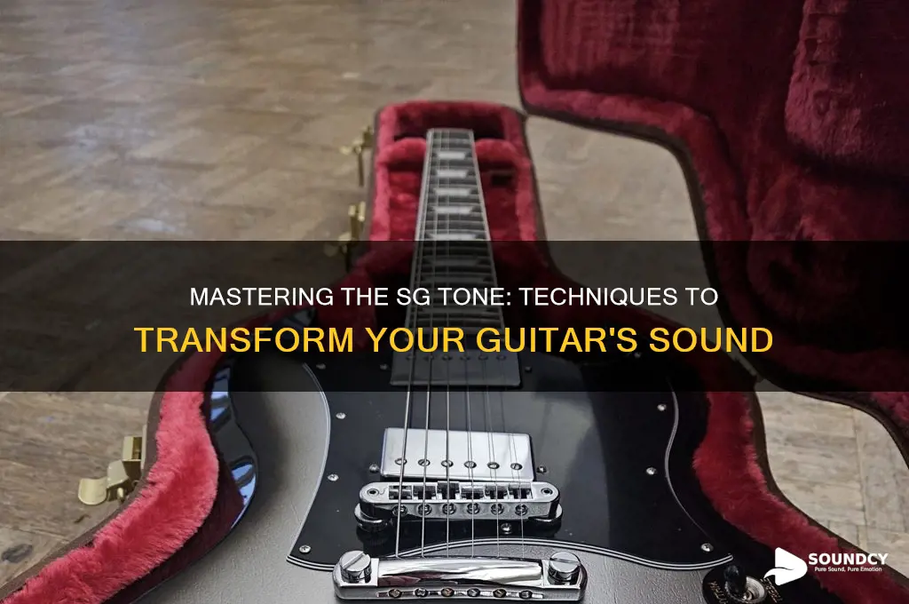 how to make a guitar sound like an sg