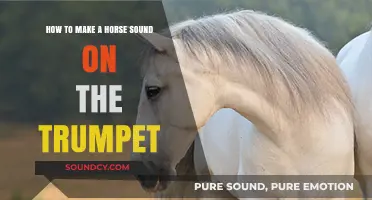 Mastering the Trumpet: Techniques to Create a Realistic Horse Sound