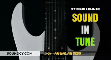 Mastering Your Ibanez Gio: Tips for Perfect Tuning and Sound