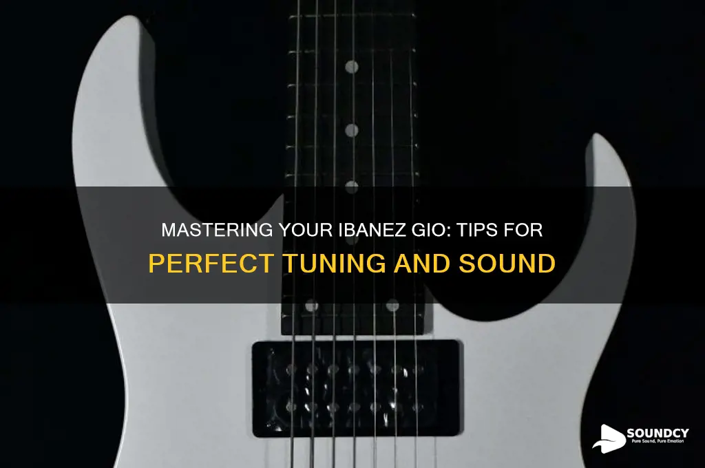 how to make a ibanez gio sound in tune