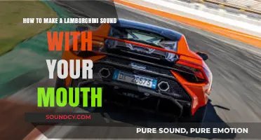 Master the Art of Mimicking a Lamborghini's Roar with Your Mouth