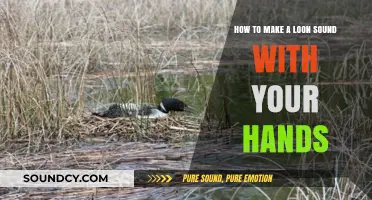 Master the Art of Creating a Loon Call with Your Hands
