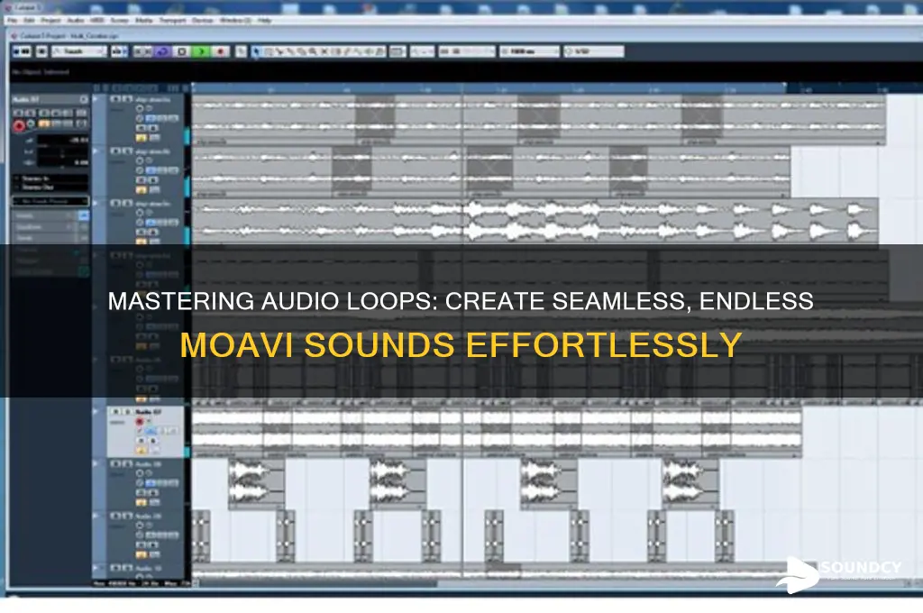 how to make a loop and end sound moavi