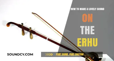 Mastering the Erhu: Techniques for Creating Beautiful, Soulful Melodies
