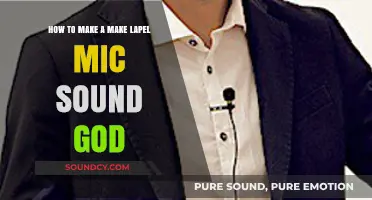 Mastering Lapel Mic Audio: Tips for Professional-Quality Sound