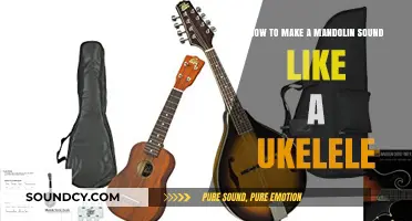 Mandolin to Ukulele: Tuning and Techniques for a Tropical Sound