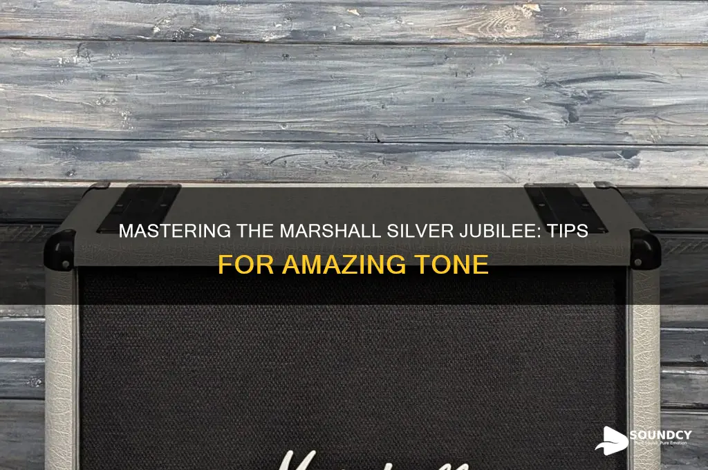 how to make a marshall silver jubilee sound amazing