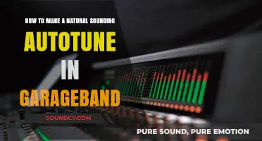 Mastering Natural Autotune in GarageBand: Tips for Seamless Vocal Effects