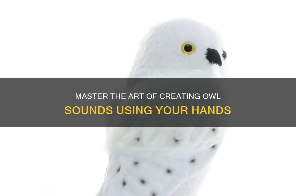 how to make a owl sound with your hands