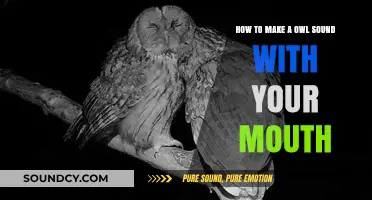 Master the Art of Mimicking Owl Calls: A Step-by-Step Guide