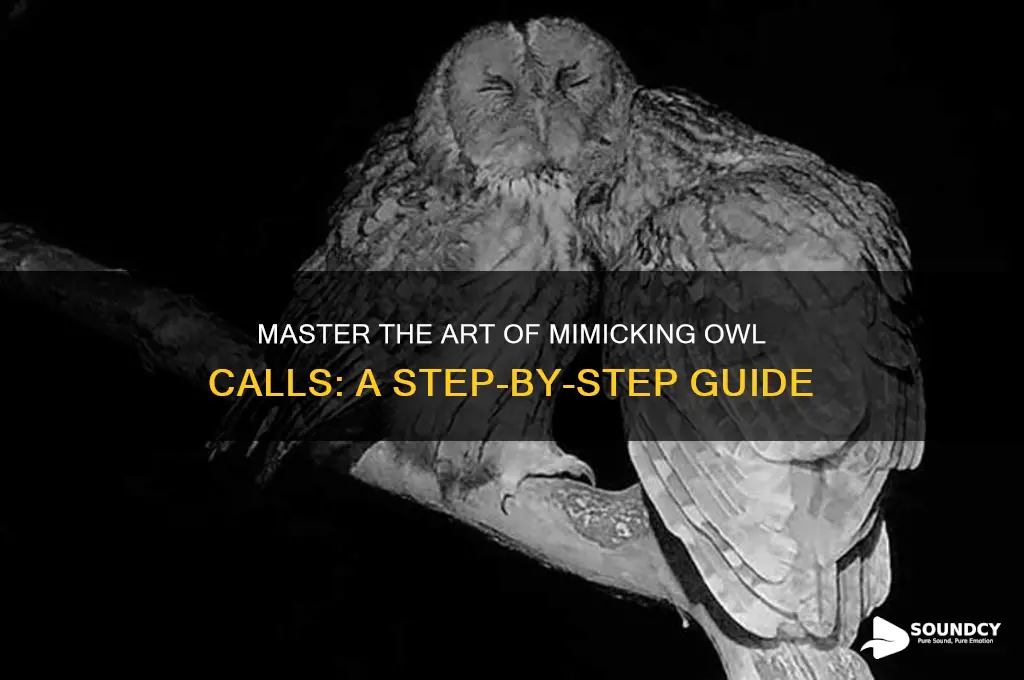how to make a owl sound with your mouth