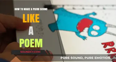 Crafting Poetic Rhythms: Techniques to Make Your Poems Sing