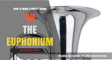 Mastering the Euphonium: Techniques for Creating Beautiful, Rich Tones