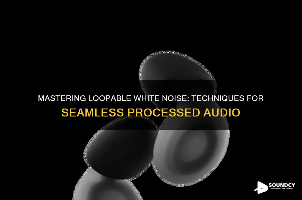 how to make a processed white noise sound loopable
