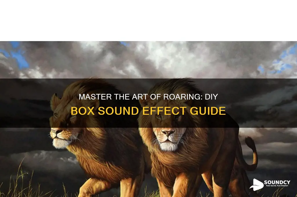 how to make a roar sound with a box