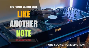 Transforming Samples: Techniques to Shift Pitch and Match Any Note
