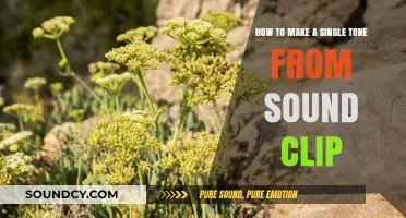 Extracting a Single Tone from Your Sound Clip: A Step-by-Step Guide