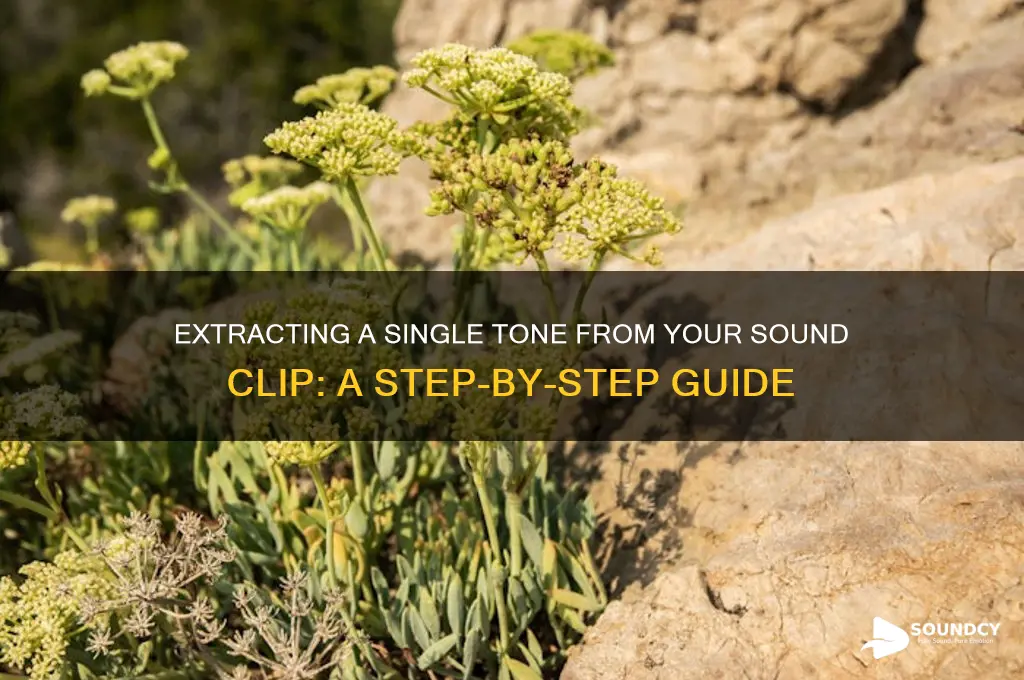 how to make a single tone from sound clip