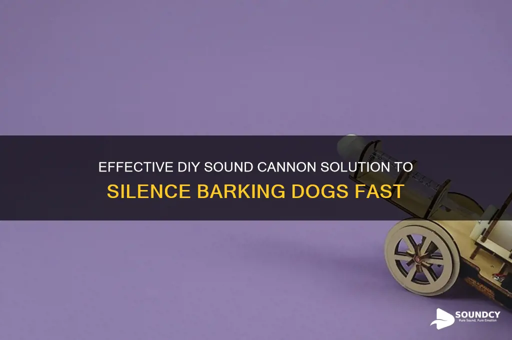 how to make a sound cannon for barking dogs