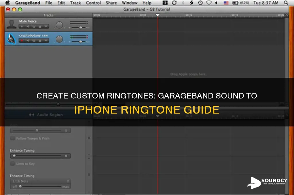 how to make a sound from garageband your ringtone
