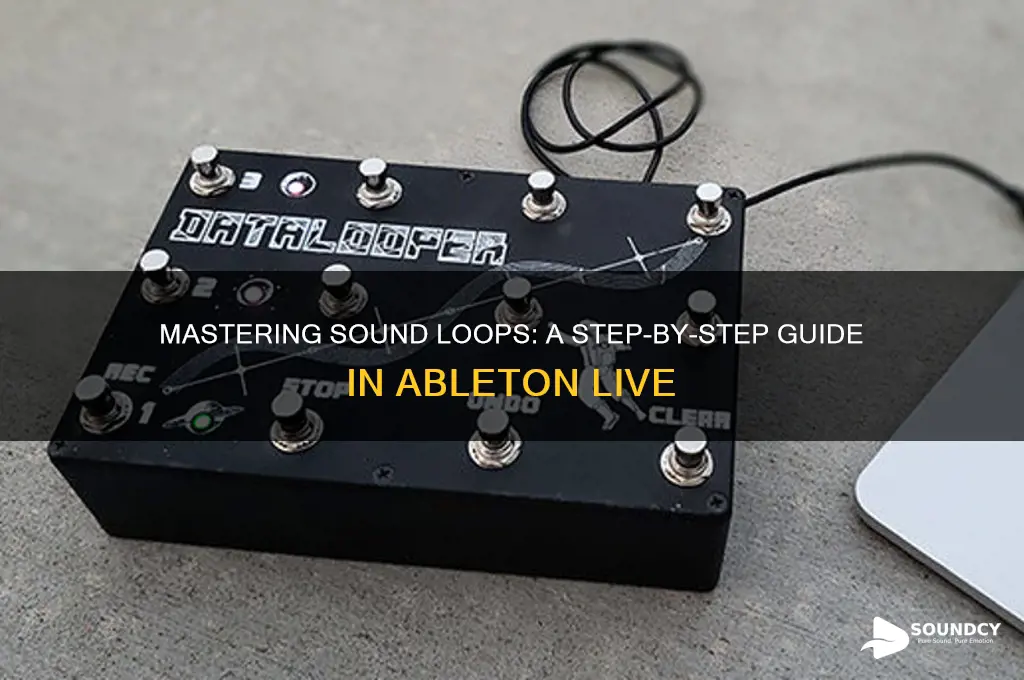 how to make a sound loop in ableton live