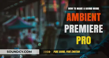 Enhance Your Audio: Creating Ambient Sounds in Premiere Pro