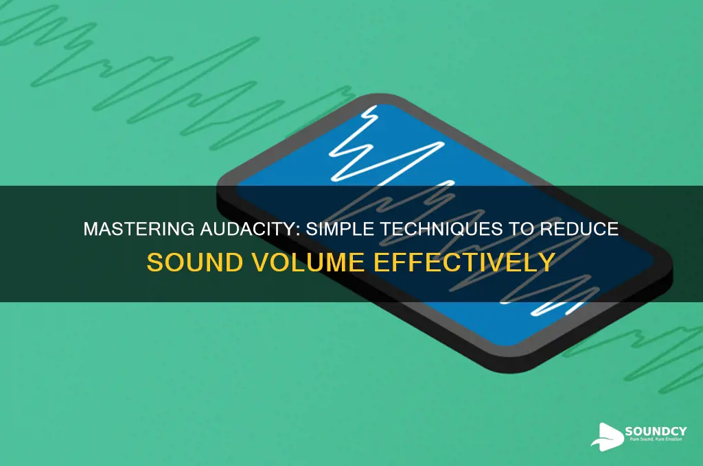 how to make a sound more quiet in audacity