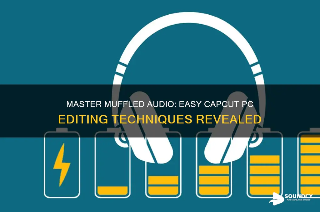 how to make a sound muffled in capcut pc