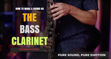 Mastering Bass Clarinet Sounds: Techniques for Rich, Clear Tones