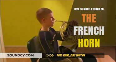 Mastering the French Horn: Techniques for Producing Clear, Rich Sounds