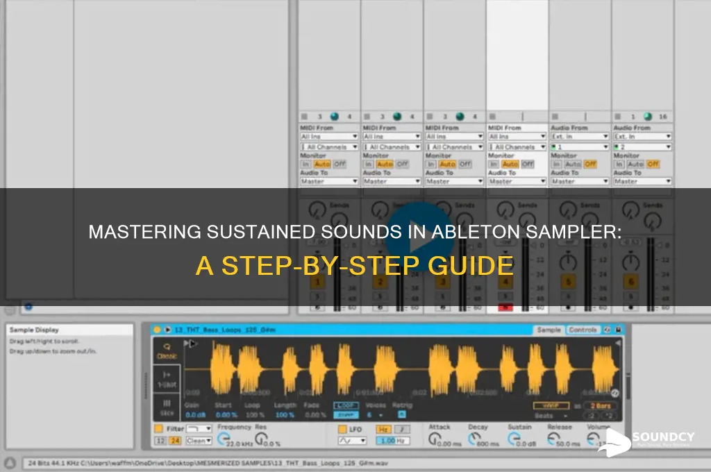 how to make a sound sustain in sampler ableton
