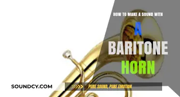 Mastering the Baritone Horn: Techniques for Producing Rich, Clear Sounds