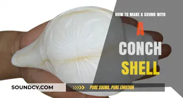Master the Art of Blowing a Conch Shell for Perfect Sounds