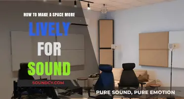 Enhance Your Space: Tips for Creating a Vibrant Acoustic Environment
