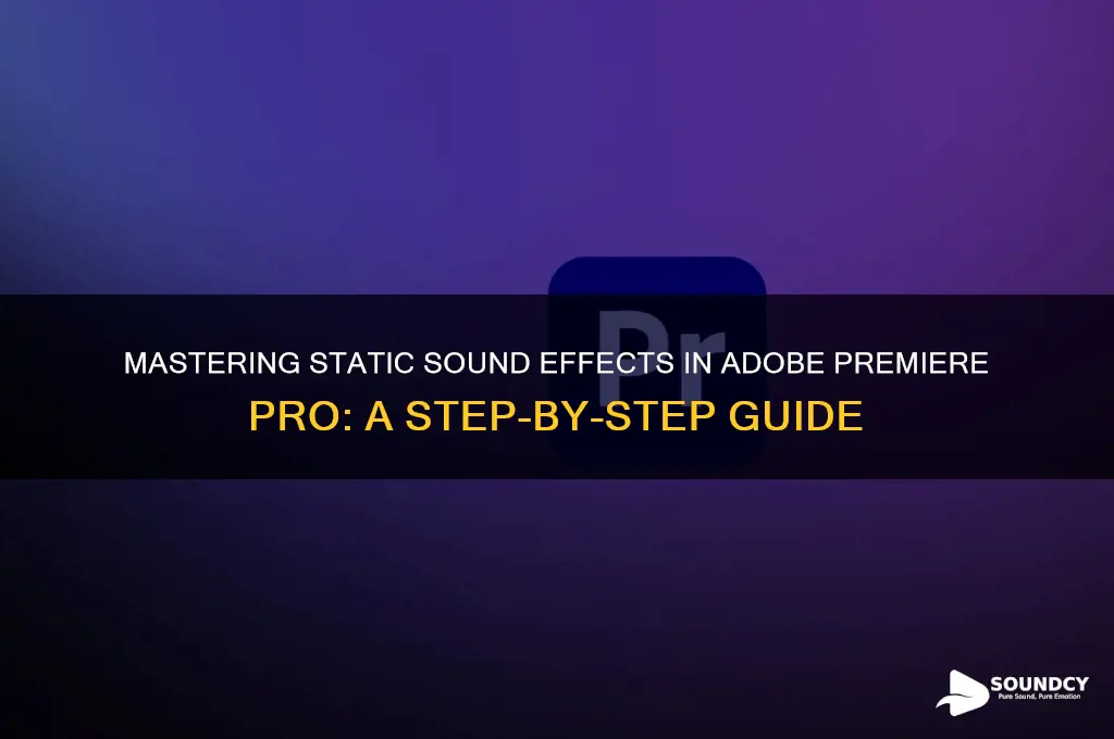 how to make a static sound in premiere pro