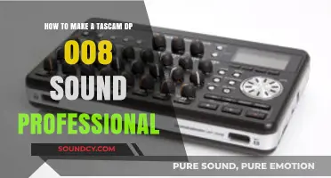 Mastering the Tascam DP-008: Pro Sound Techniques and Tips